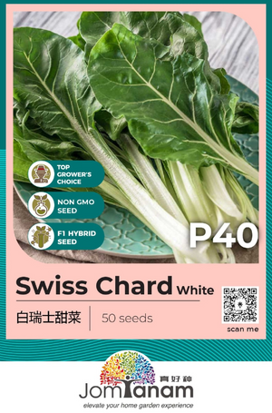 F1 Swiss Chard - White P40