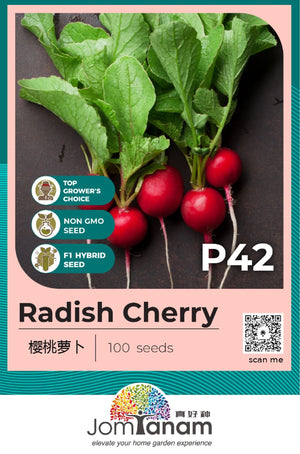 F1 Cherry Radish P42