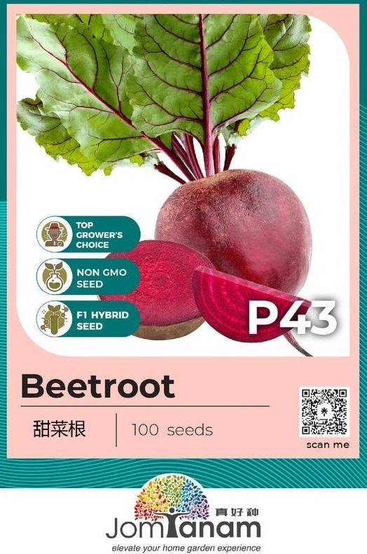 F1 Beetroot P43