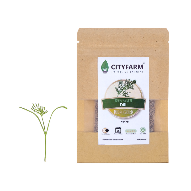 Dill Microgreen Seeds
