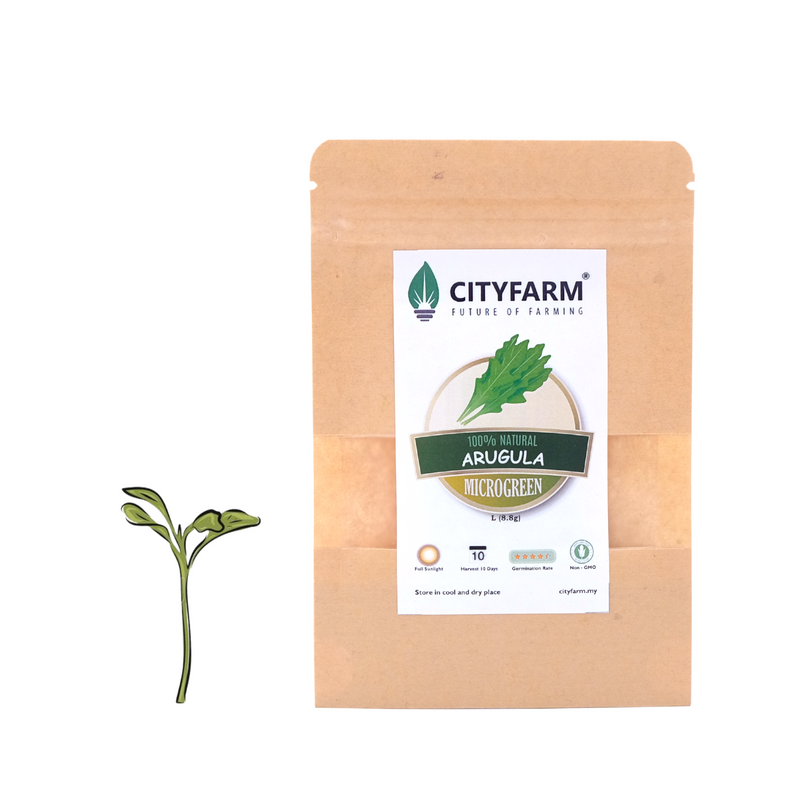 Arugula(Rocket) Microgreen Seed