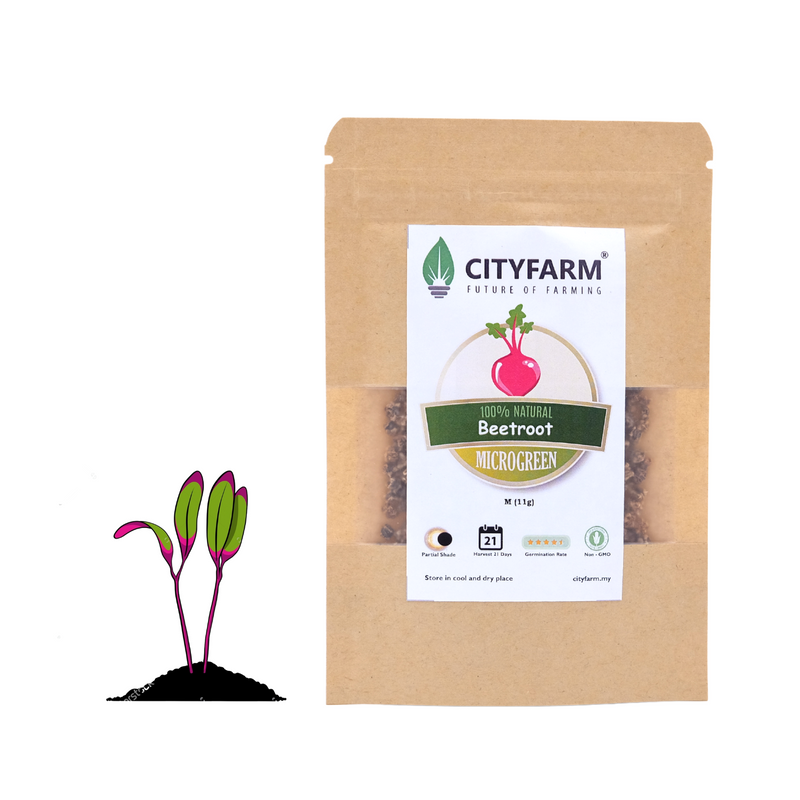 Beetroot Microgreen Seeds