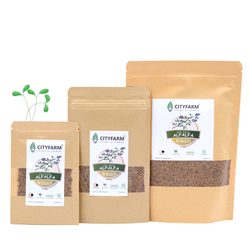 Alfalfa Microgreen Seeds