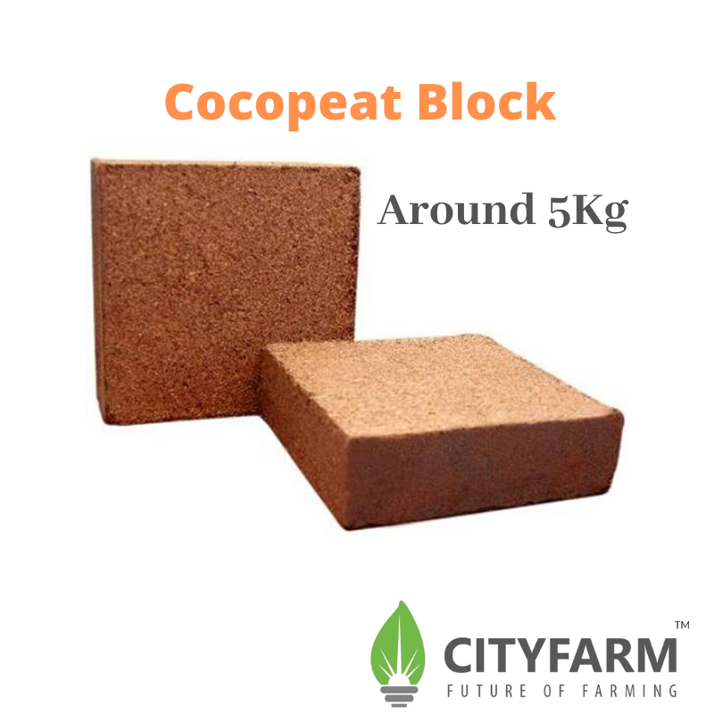 Cocopeat Block (≈5 kg, ±0.5kg) - CityFarm