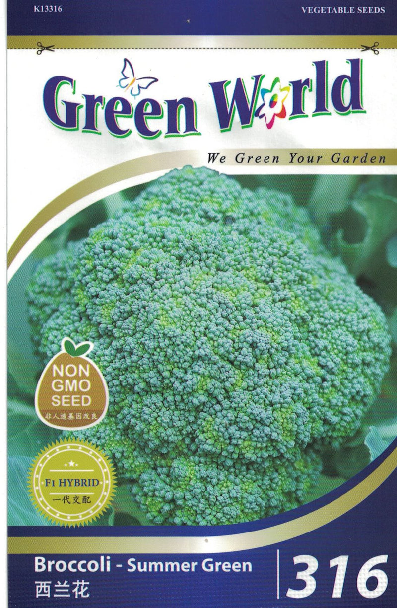 F1 Broccoli - Summer Green - CityFarm