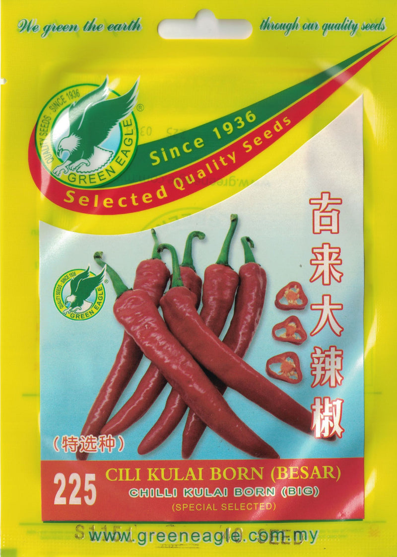 Chilli Kulai - CityFarm