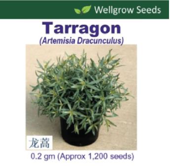 WHT - Tarragon (0.2gm, approx 1200 sds) 龙蒿
