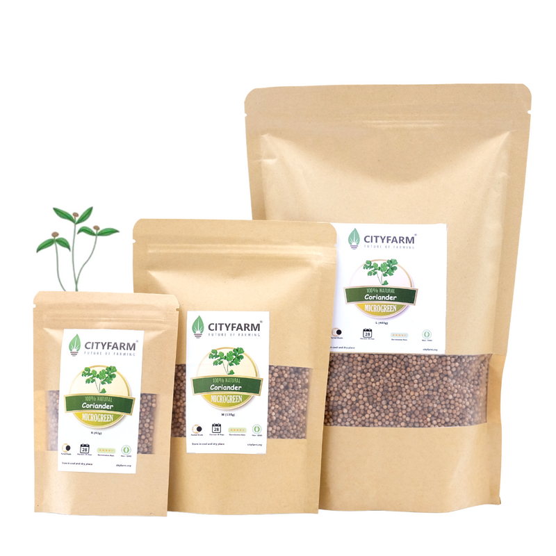 Coriander/Cilantro Microgreen Seeds
