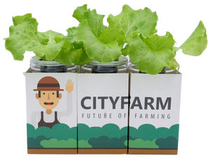 City Window Farm (All Inclusive Beginner Kit) - CityFarm