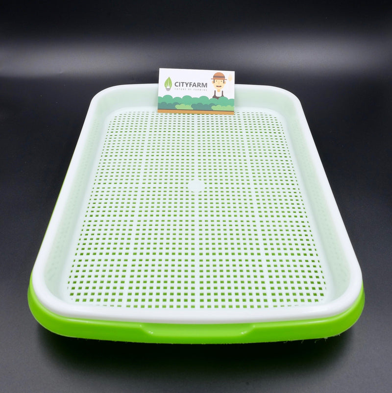 Sprout Plate / Seedling Tray / Nursery Tray - CityFarm