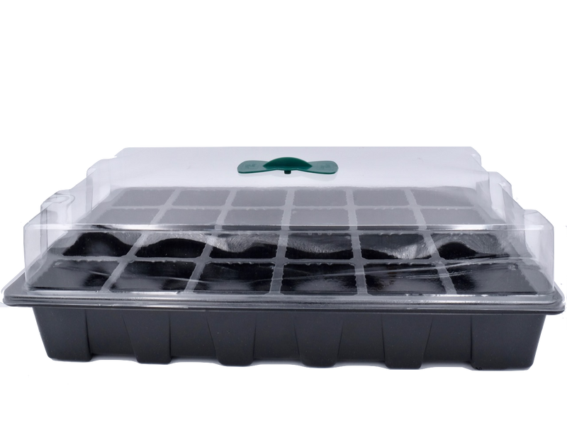 Large Germination Box (24 Compartments) - CityFarm