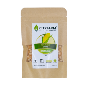 Corn Microgreen Seeds