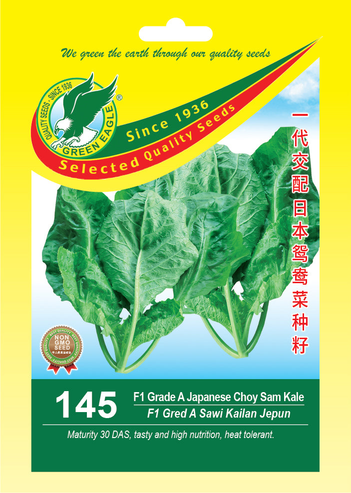 Grade A Japanese Choy Sam Kale