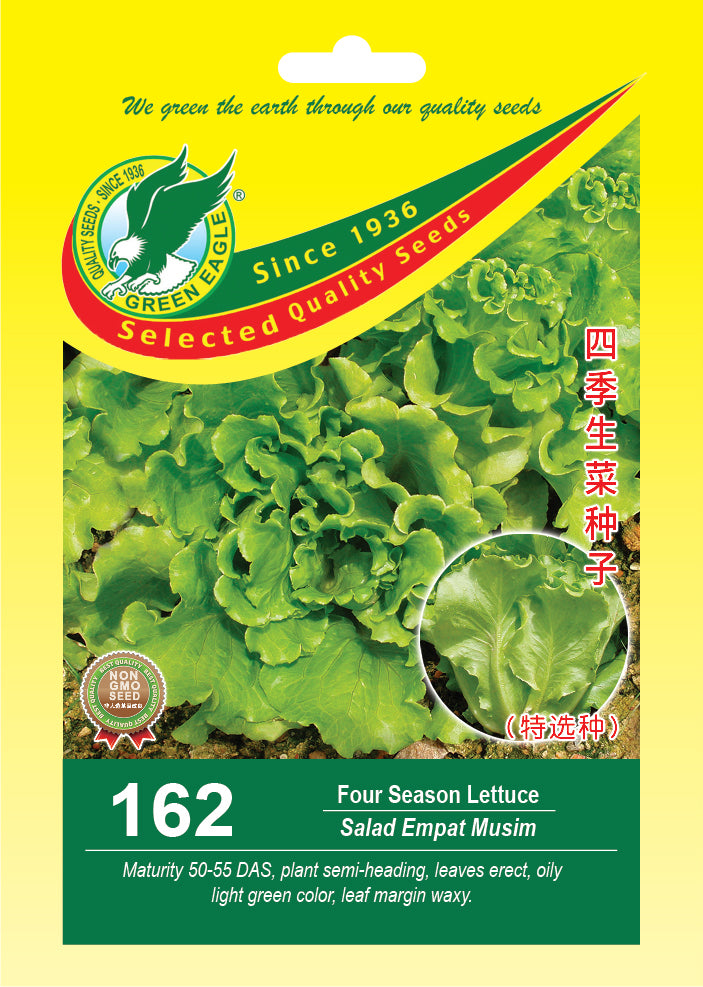 Four Season Lettuce