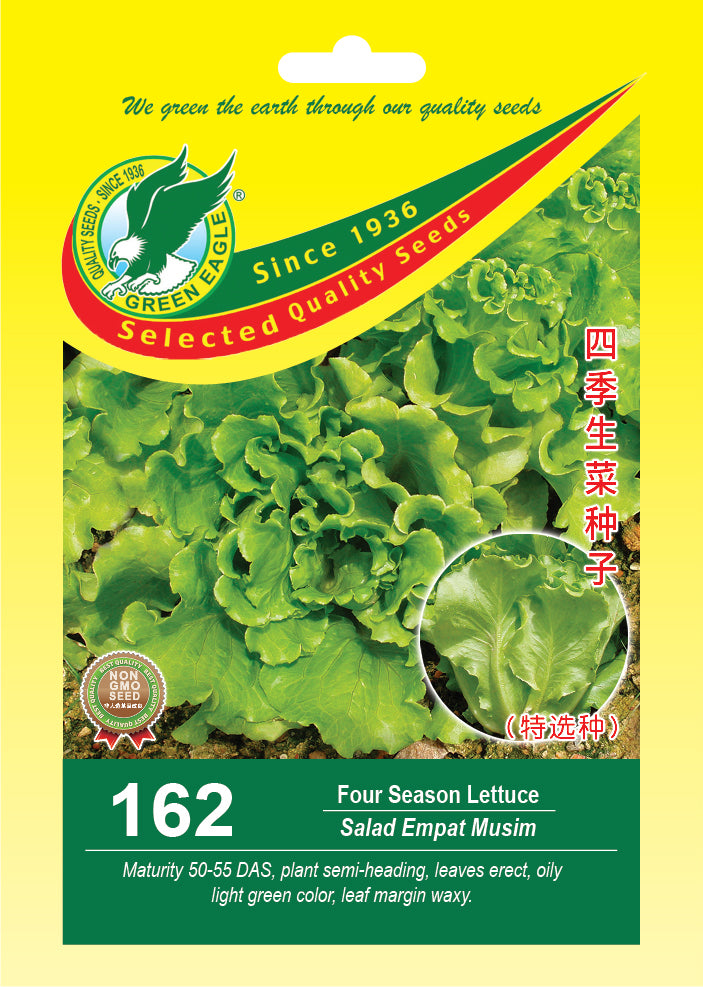 Four Season Lettuce