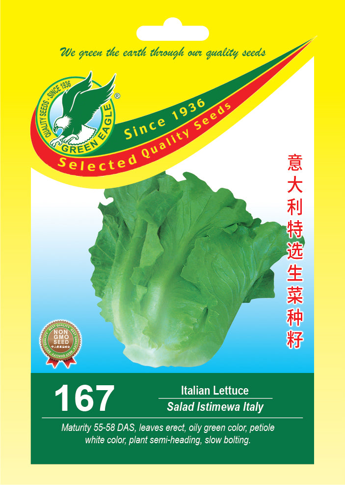 Italian Lettuce
