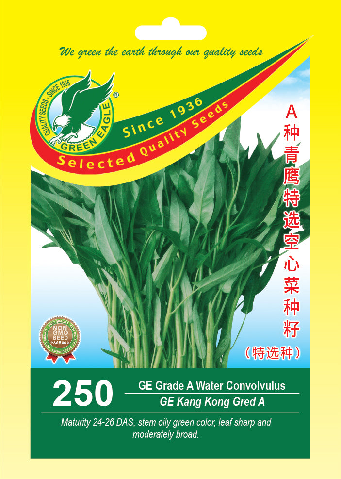 Grade A Water Convolvulus / Kangkung