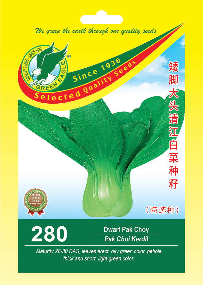Dwarf Pak Choy
