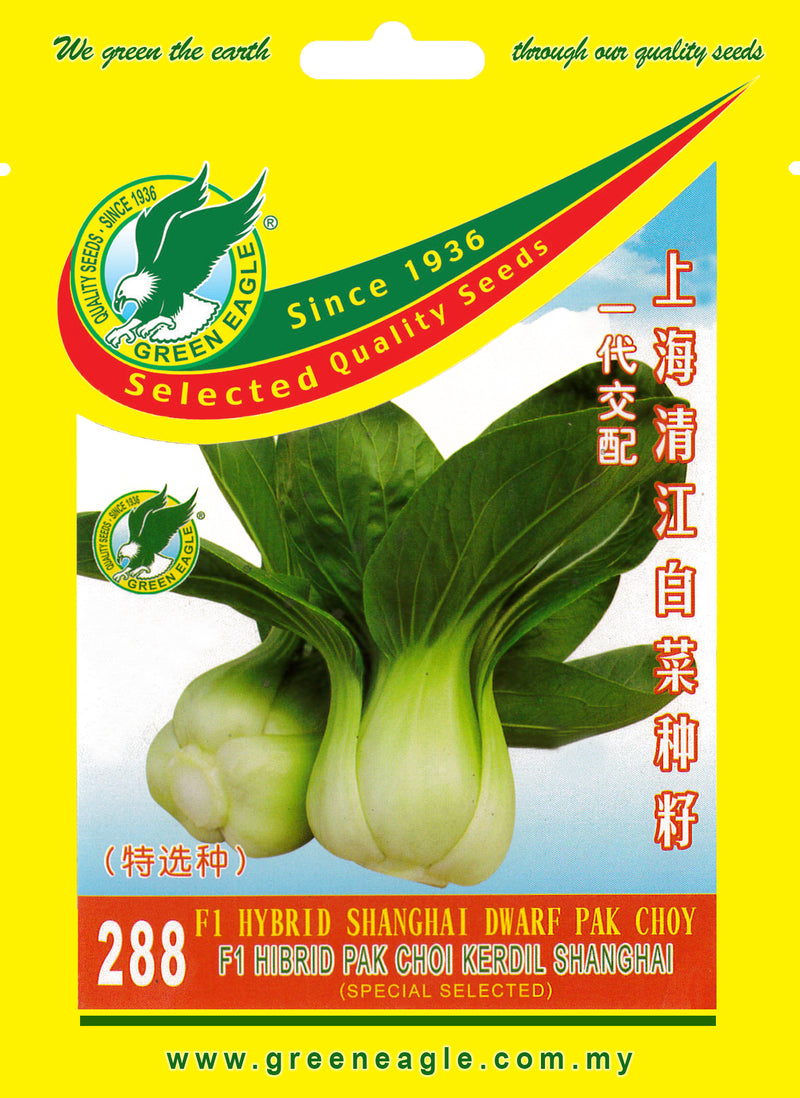 Hybrid Shanghai Dwarf Pak Choy