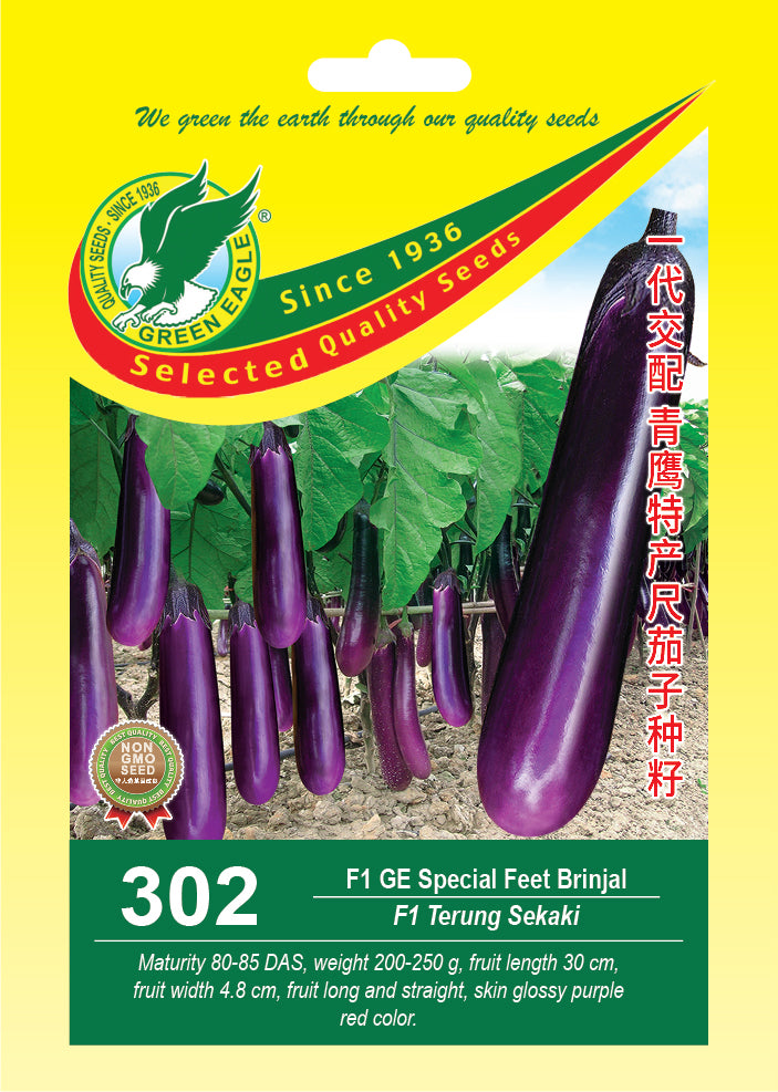 Hybrid GE Special Feet Brinjal