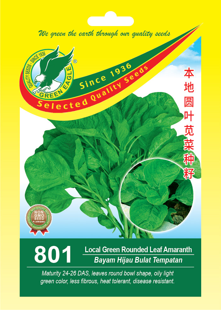 Local Green Rounded Leaf Amaranth