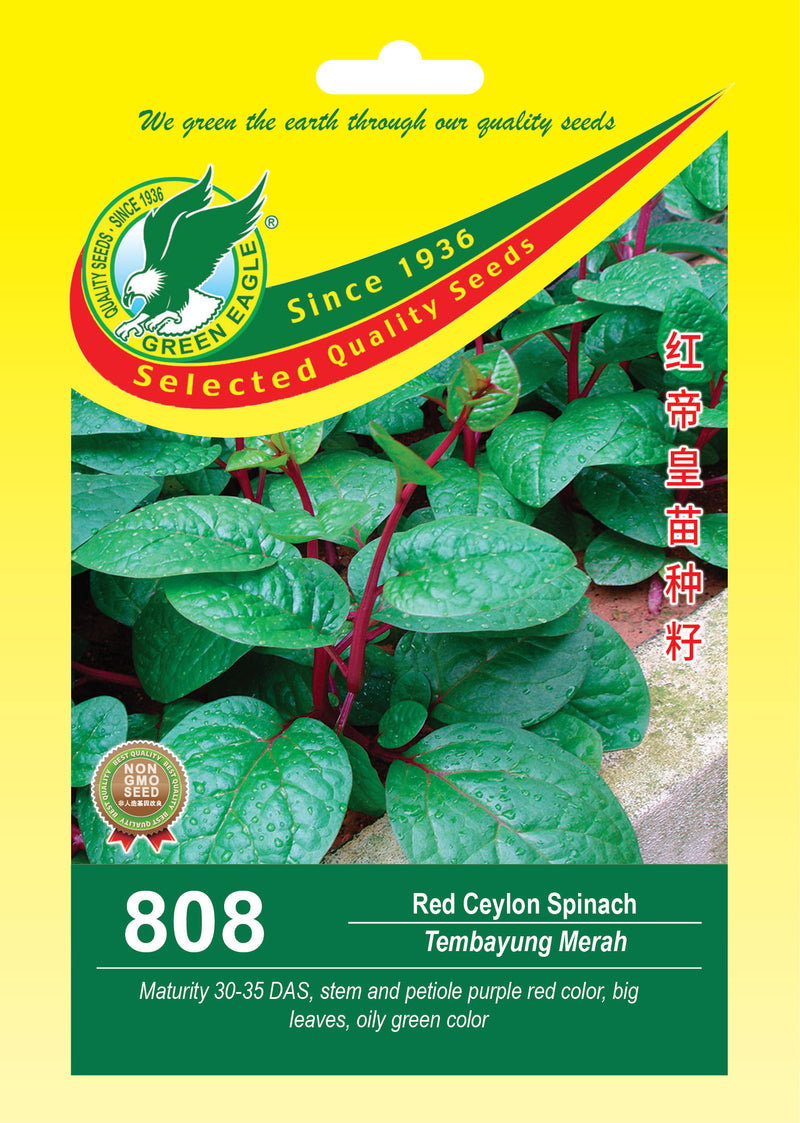 Red Ceylon Spinach