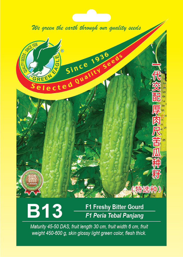 F1 Hybrid Fleshy Bitter Gourd