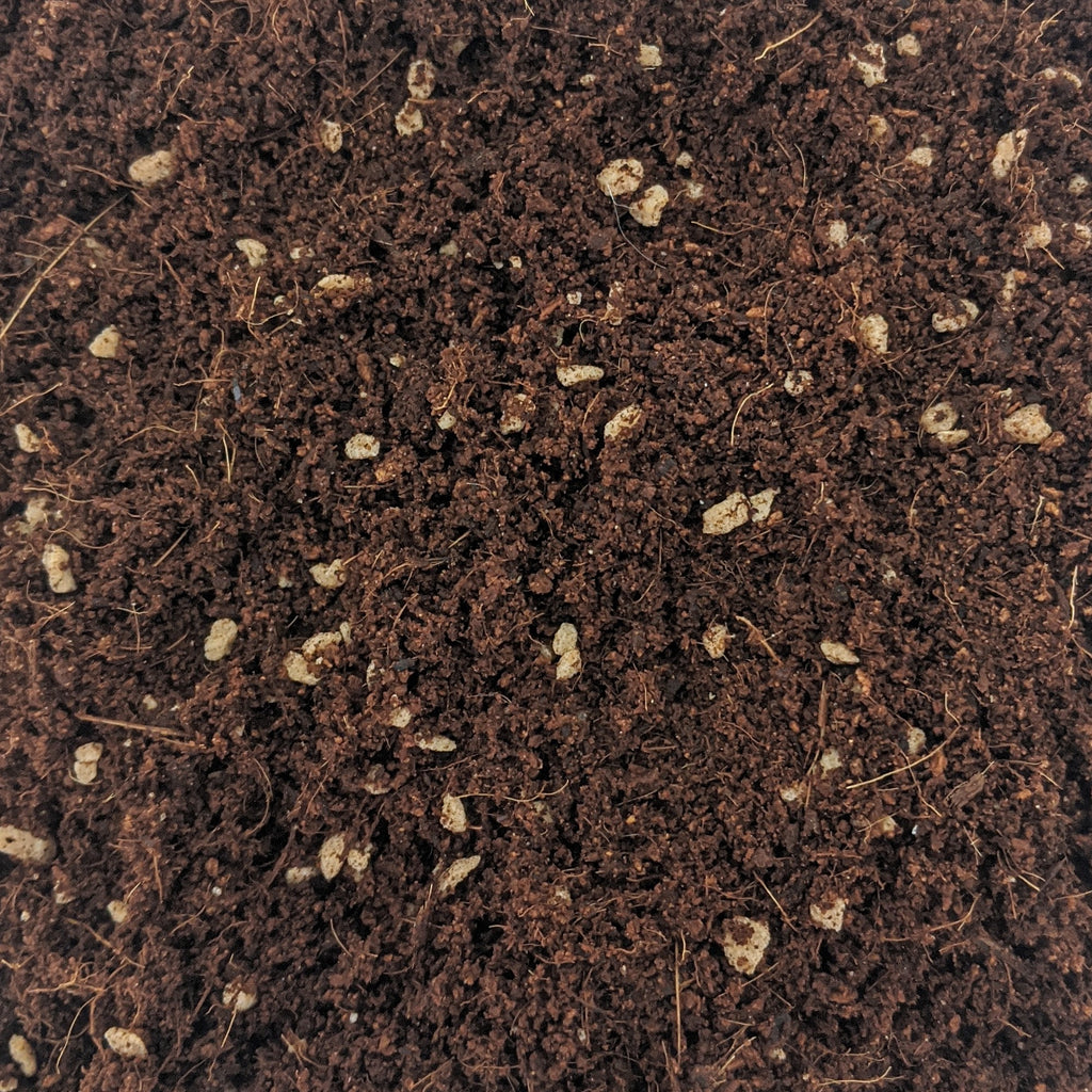 Coco Mix (80% Cocopeat 20% Perlite)