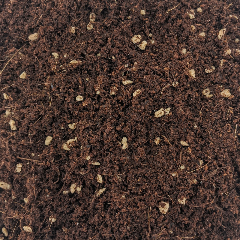 Coco Mix (80% Cocopeat 20% Perlite)
