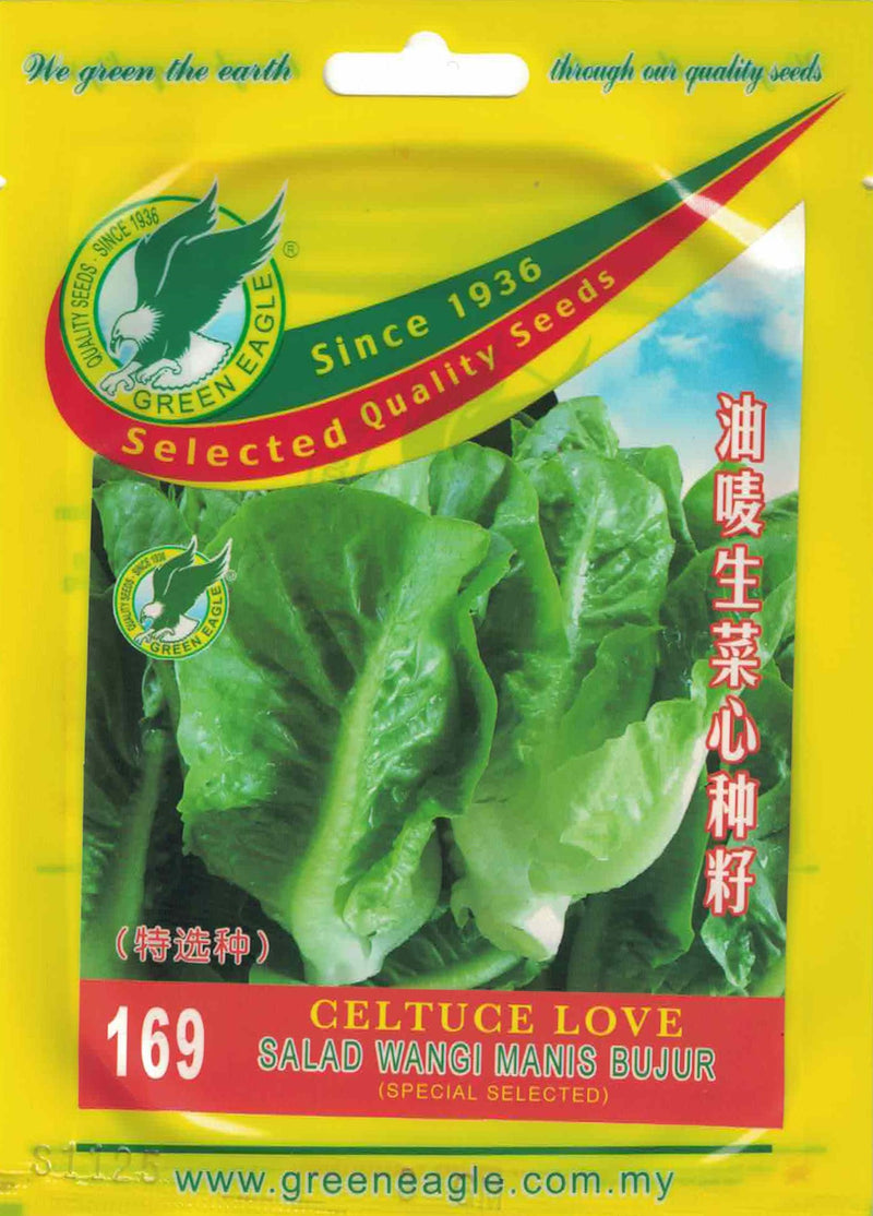 Celtuce Love - CityFarm