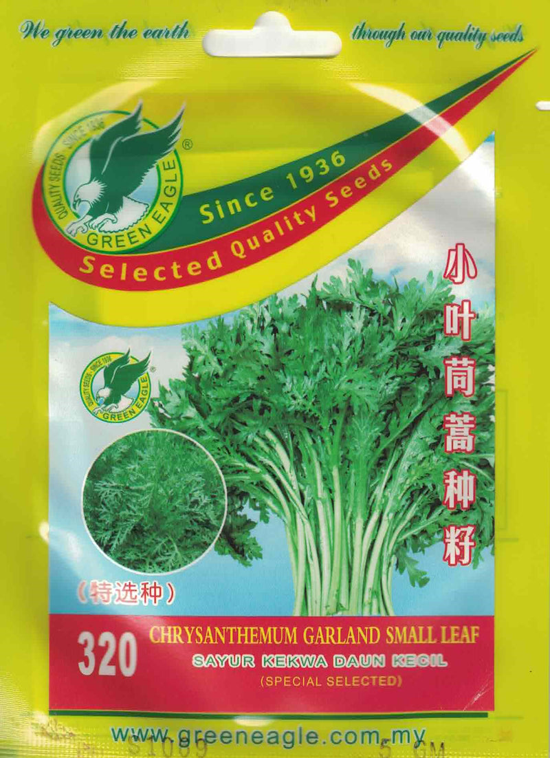 Chrysanthemum Garland Small Leaf - CityFarm