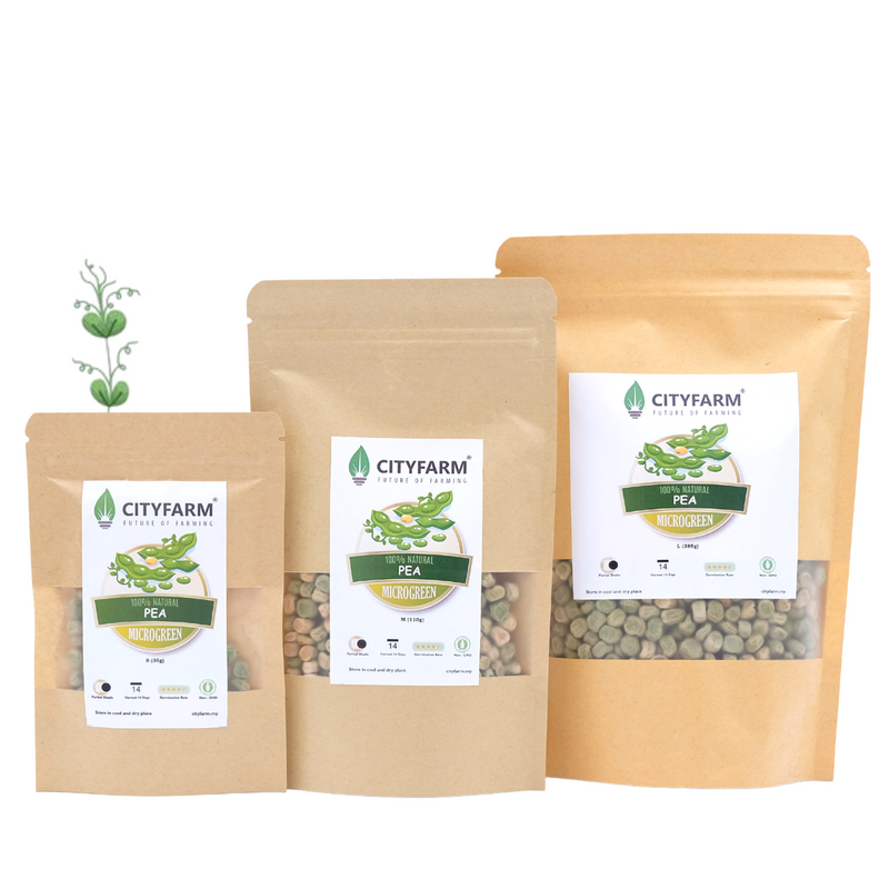 Pea Microgreen Seeds