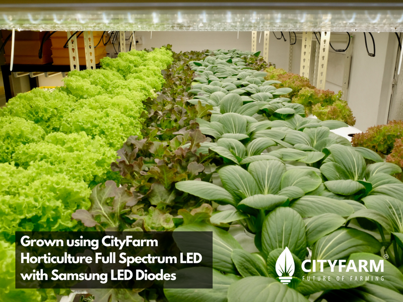 50cm x 23.5cm CityFarm Horticulture Full Spectrum LED Panel Growlight - Panel & Driver Only