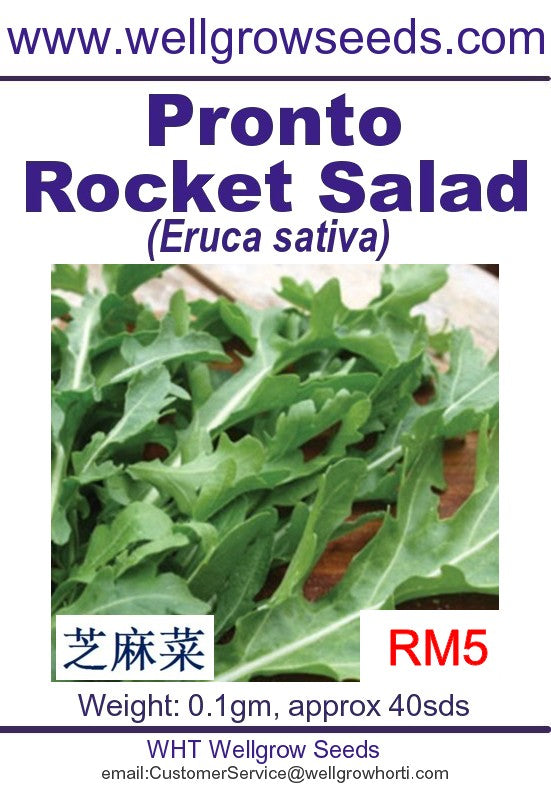 WHT - Pronto Rocket Salad - CityFarm