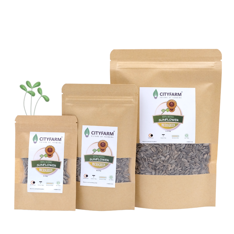 Sunflower Microgreen Seeds