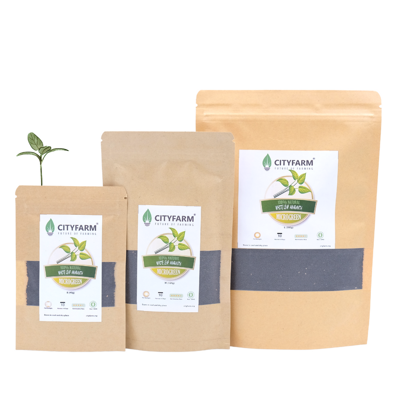 White Leaf Amaranth Microgreen Seeds