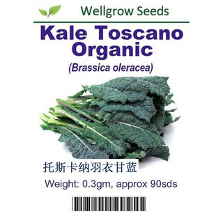WHT - Kale Toscano Organic - CityFarm