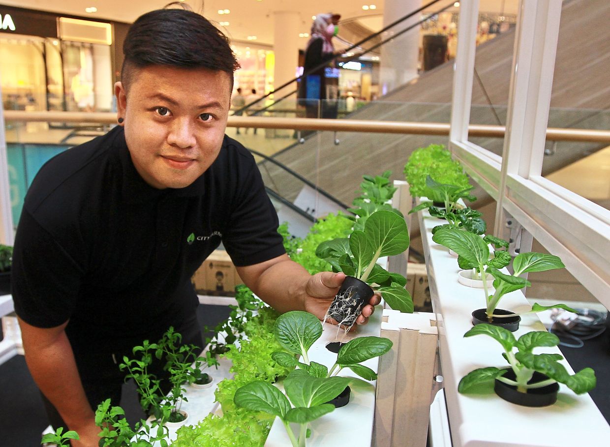 [The Star] Farming solutions to help city folk grow fresh produce for their own consumption