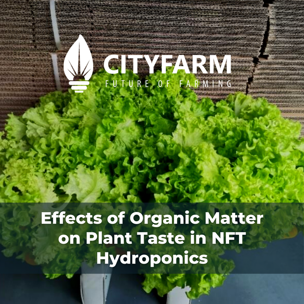 [Research] Effects of Organic Matter on Plant Taste in NFT Hydroponics
