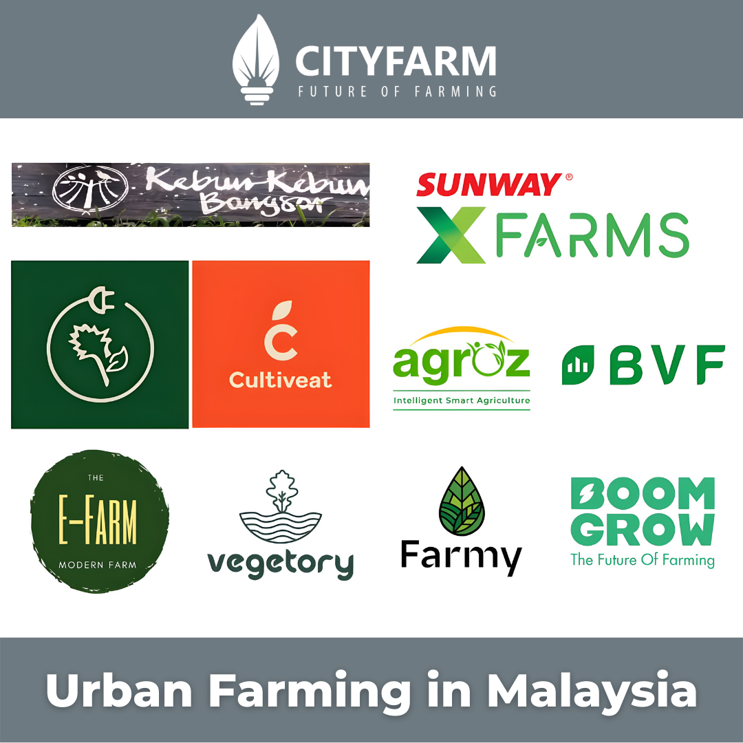 [Article] Urban Farming in Malaysia