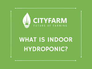 What is Indoor Hydroponic