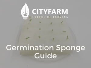 Germination Sponge Guide