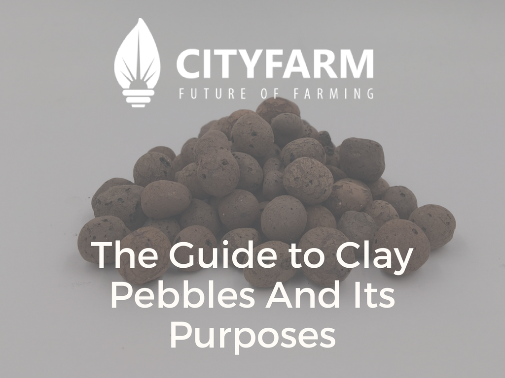 The Guide to Clay Pebbles And Its Purposes
