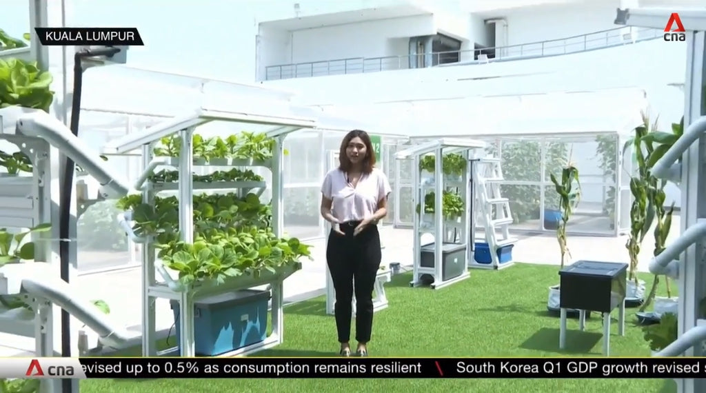 [Channel NewsAsia] Urban farming gains attention as Malaysia hit by food security problem