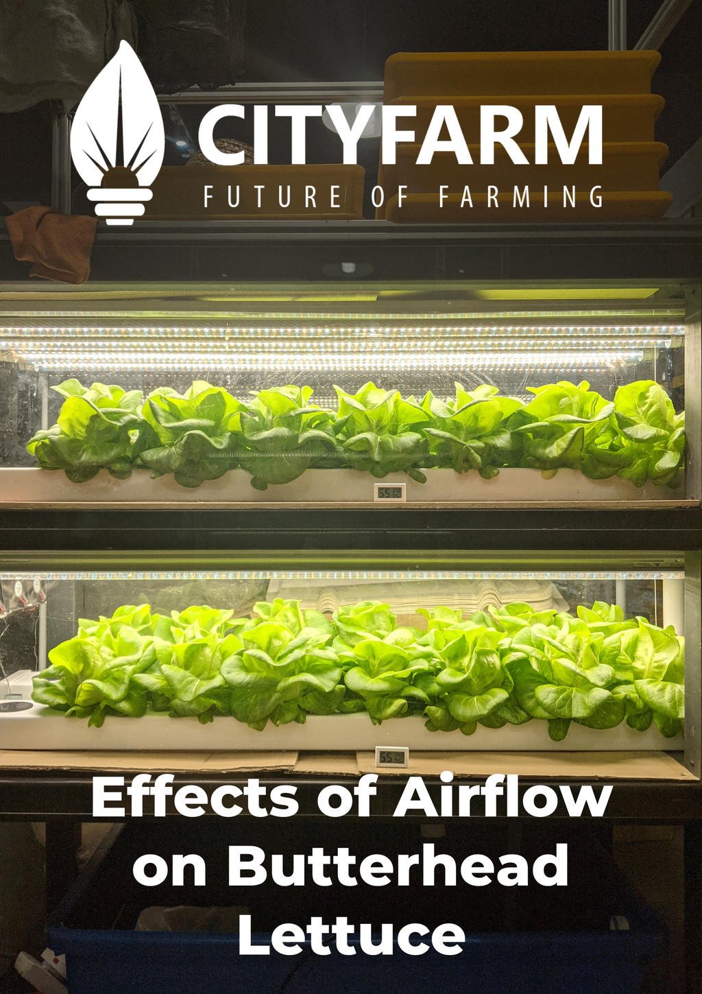 [Research] Effects of Airflow on Butterhead Lettuce