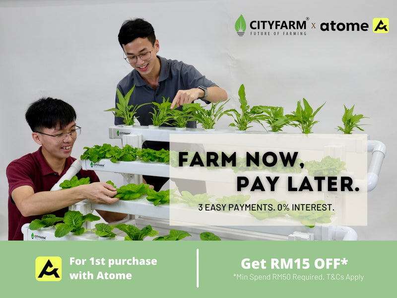 Farm Now Pay Later 🌱