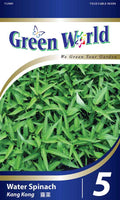 Water Spinach - CityFarm Malaysia - The Urban Farming Expert