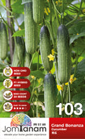 F1 Cucumber Grand Bonanza