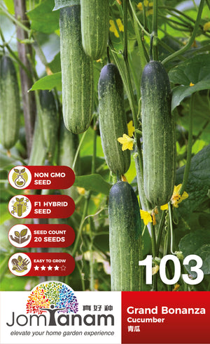 F1 Cucumber Grand Bonanza