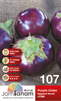 F1 Eggplant Round Purple Globe